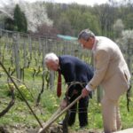 Otvoreni turistički putevi