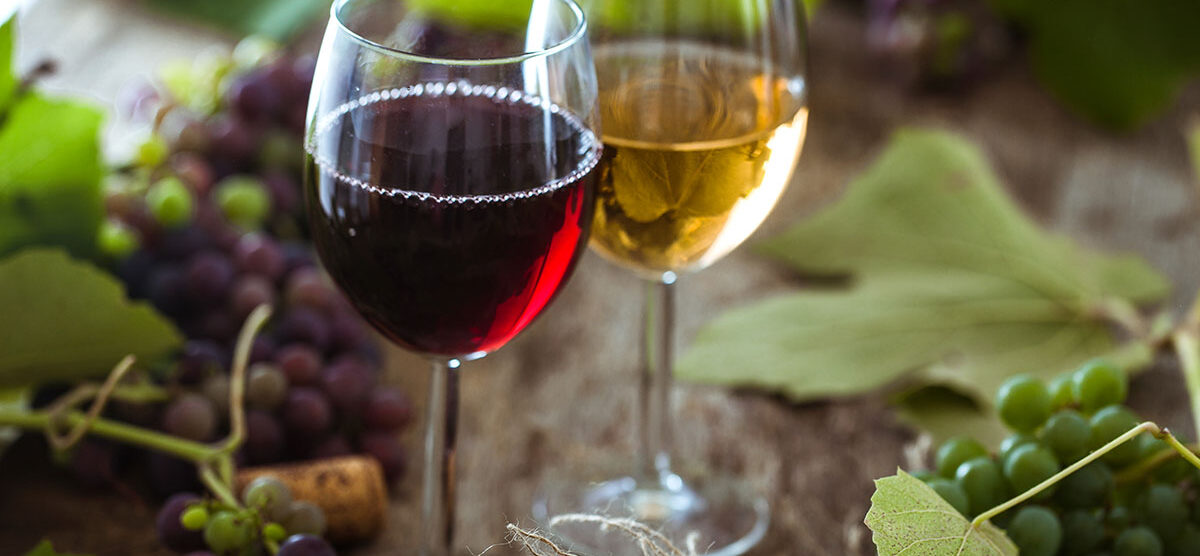 Ocjenjivanje vina na 31. Izložbi vina  Ivanić-Grad